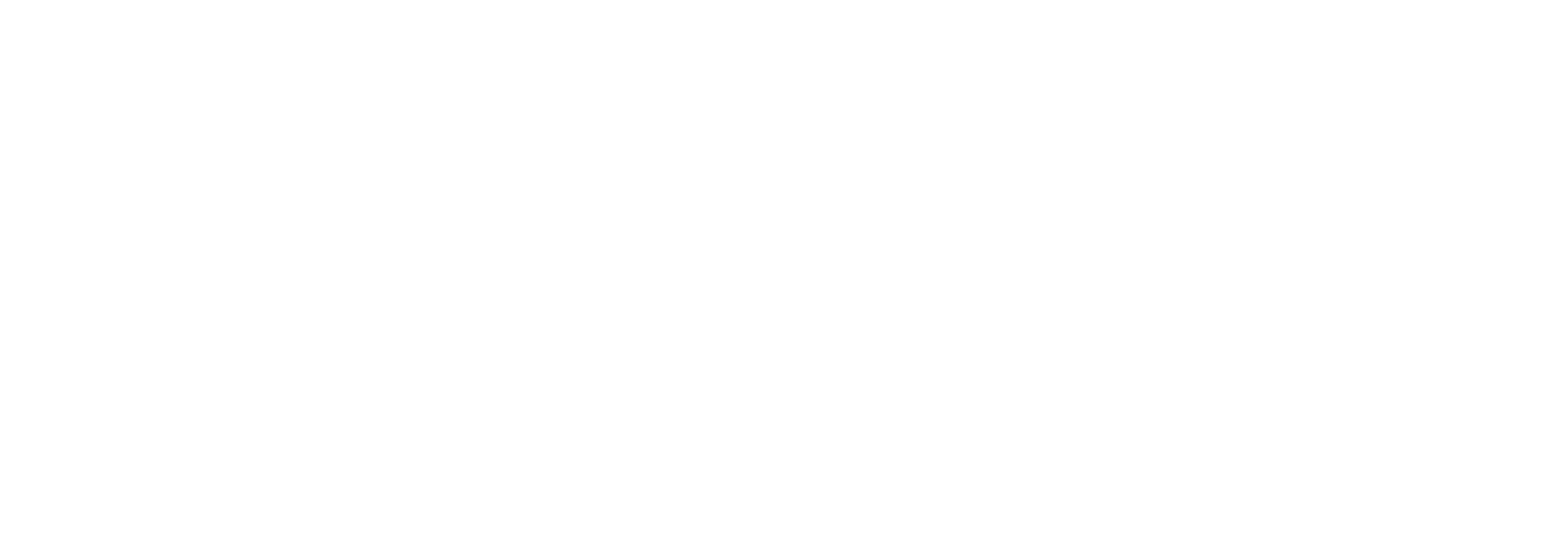 DATASHIELD TECHNOLOGY logo
